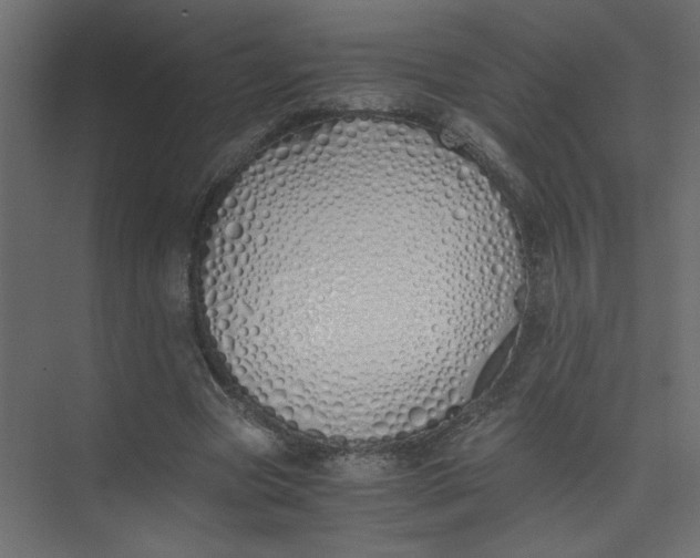 X0000073470537200608181333
