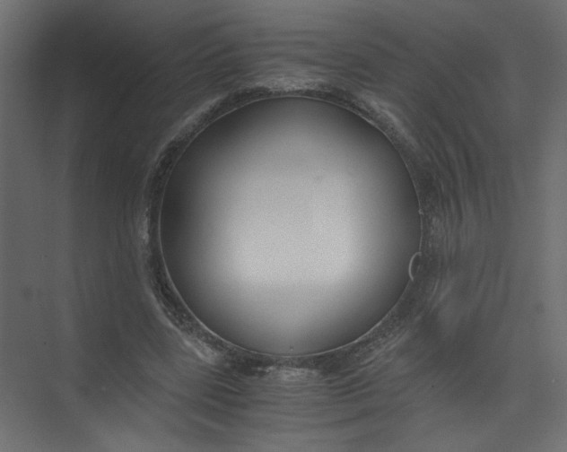 X0000073470539200608181333