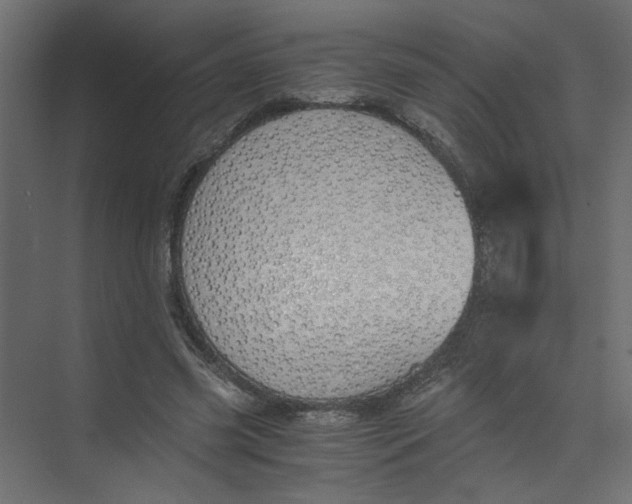 X0000073470541200608181333