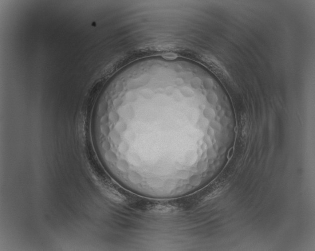 X0000073470542200608181333