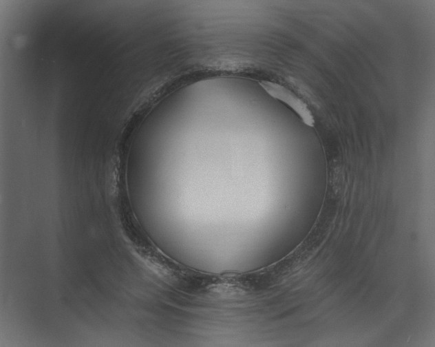 X0000073470544200608181334