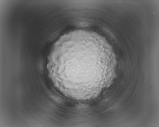 X0000073470549200608181334