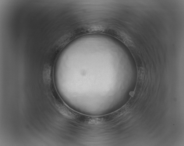 X0000073470550200608181334