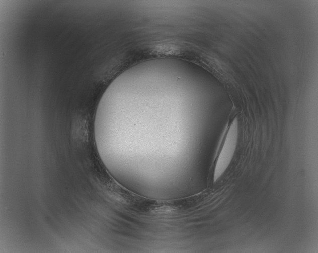 X0000073470551200608181334