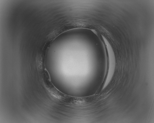X0000073470552200608181334