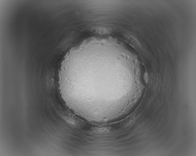 X0000073470553200608181334