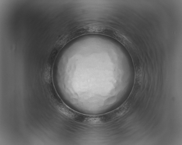 X0000073470554200608181334