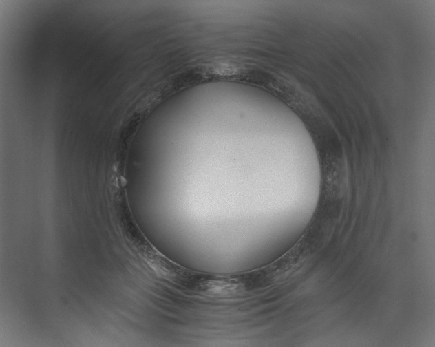 X0000073470555200608181334