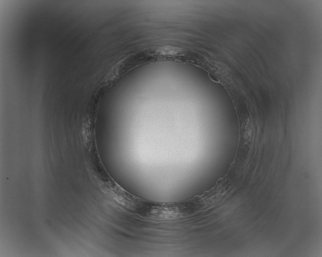 X0000073470559200608181334