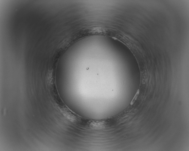 X0000073470560200608181334