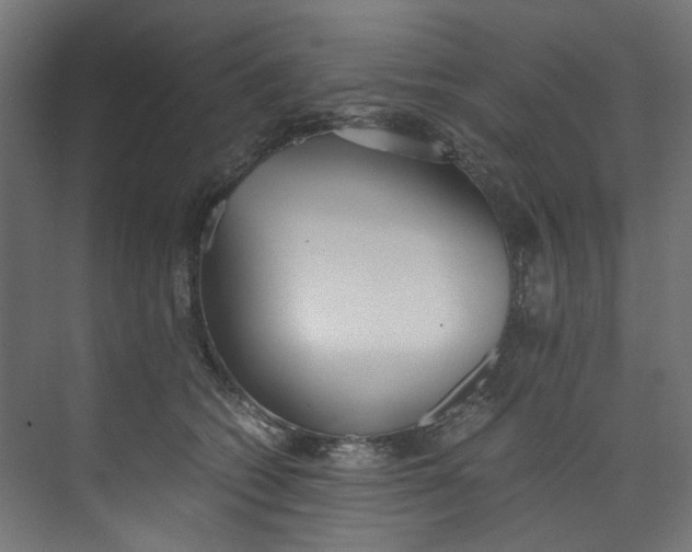 X0000073470562200608181334