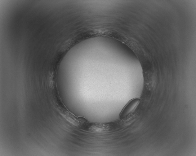 X0000073470563200608181334
