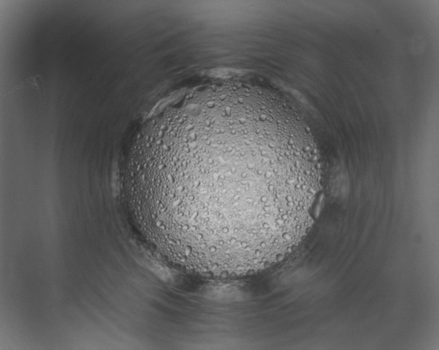 X0000073470569200608181334