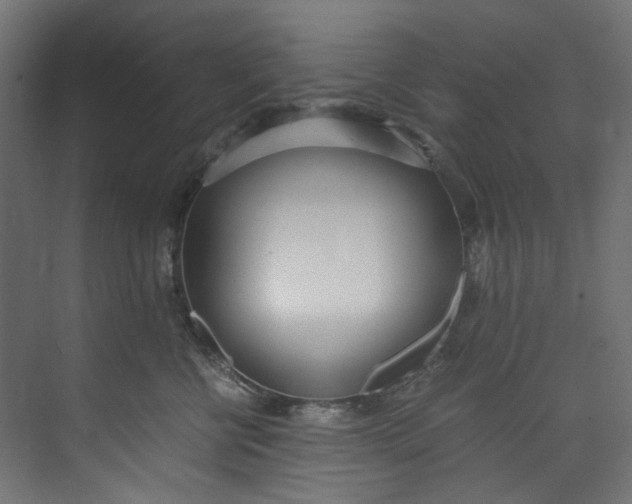 X0000073470570200608181334