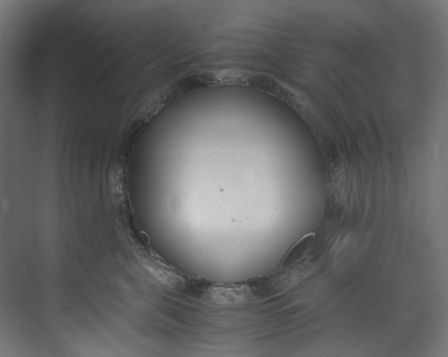 X0000073470571200608181334