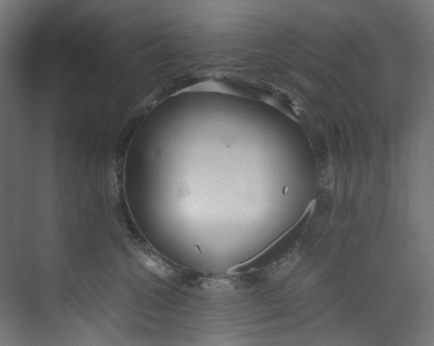 X0000073470572200608181334