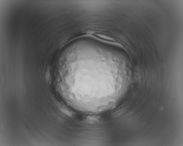 X0000073470573200608181334