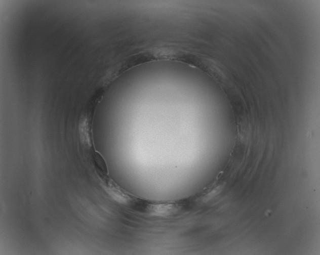 X0000073470575200608181334