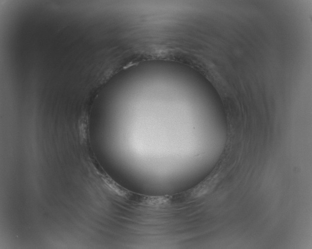 X0000073470576200608181334