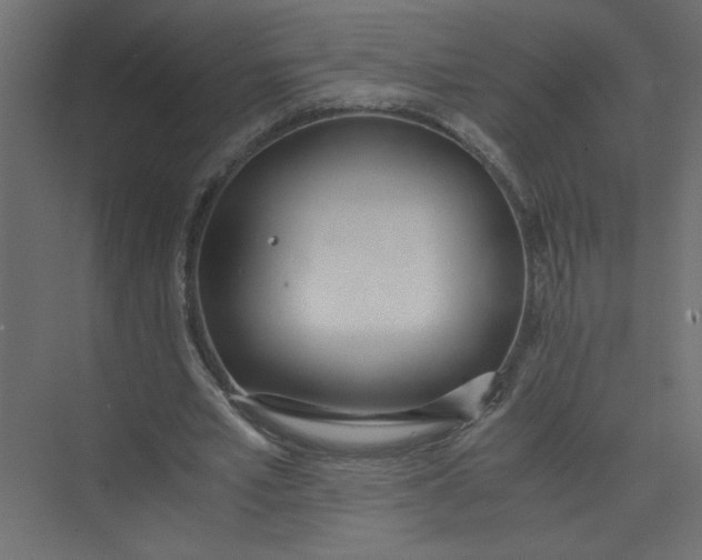 X0000073470581200608181333