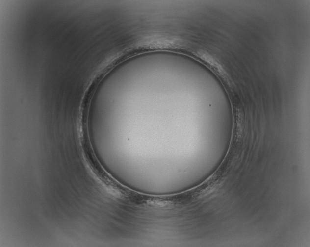 X0000073470582200608181333