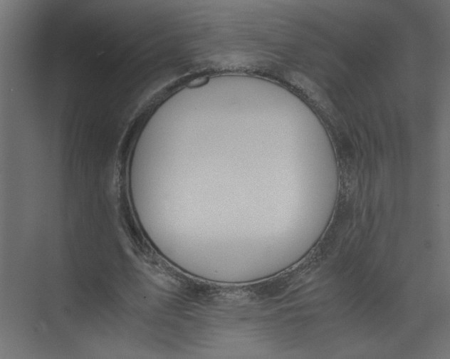 X0000073470583200608181333