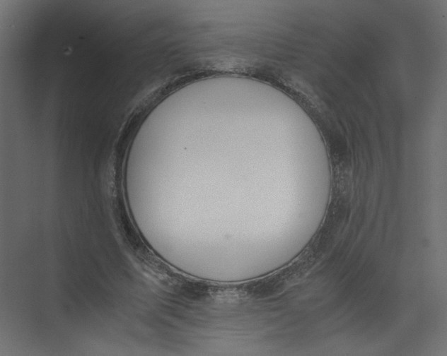 X0000073470587200608181333