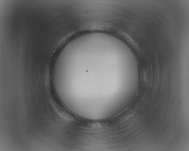 X0000073470588200608181333