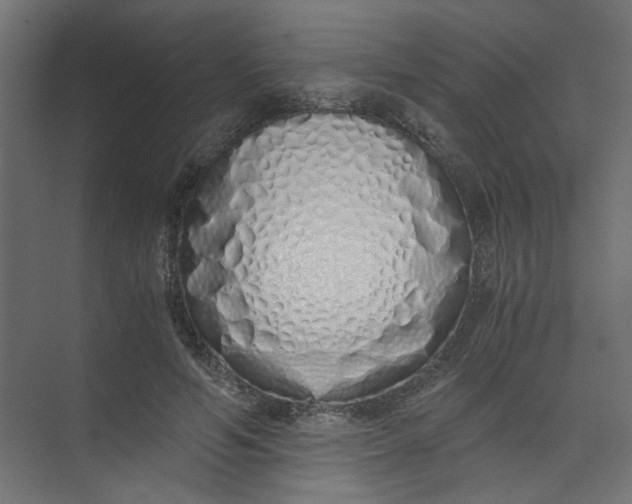 X0000073470594200608181333
