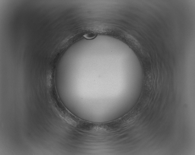 X0000073470596200608181333