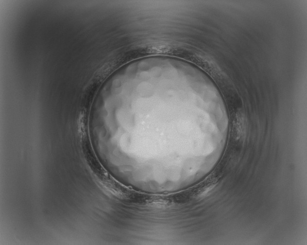 X0000073470598200608181333