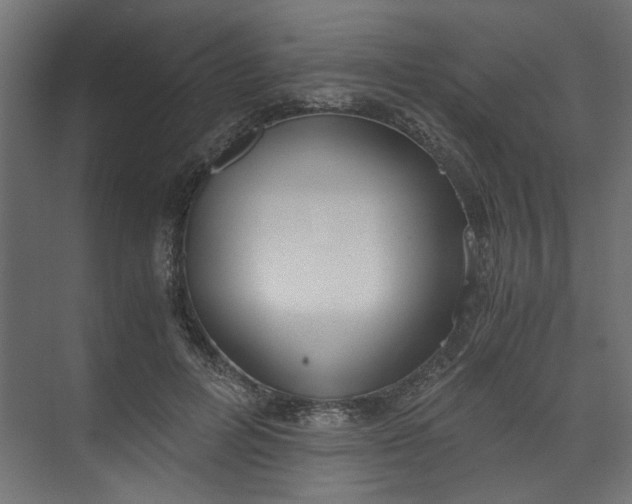 X0000073470600200608181333