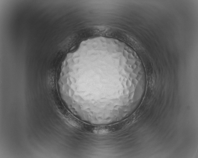 X0000073470602200608181333