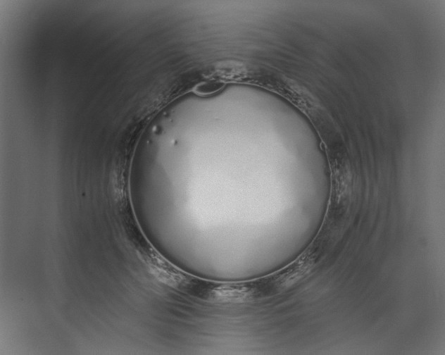 X0000073470606200608181333