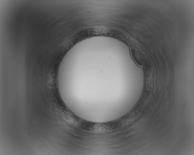 X0000073470608200608181333