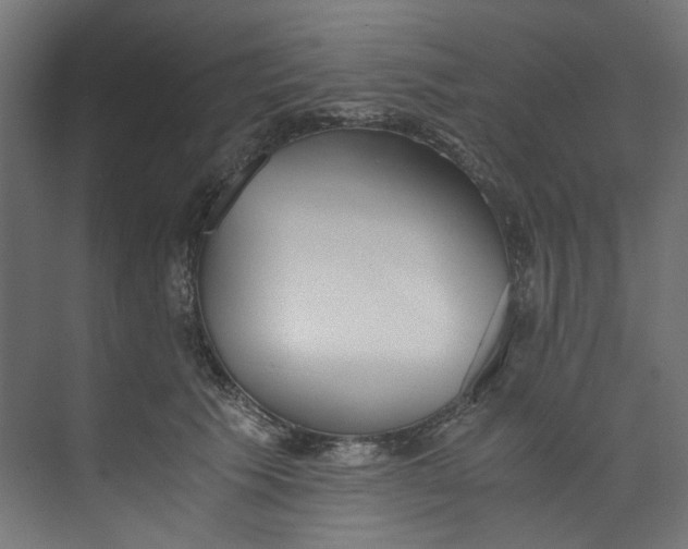 X0000073470609200608181333