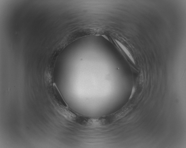X0000073470613200608181333