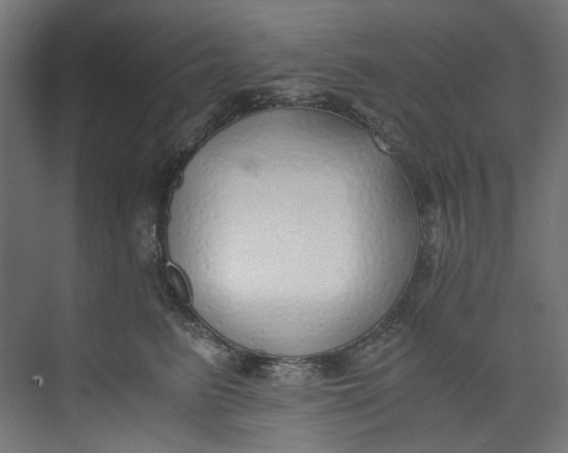 X0000073470615200608181333