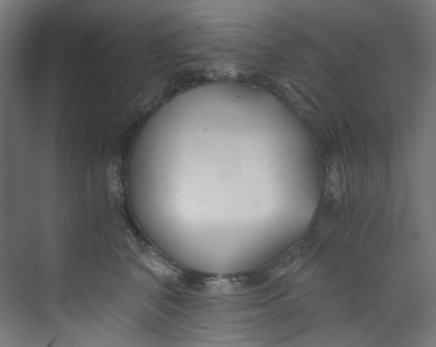 X0000073470616200608181333