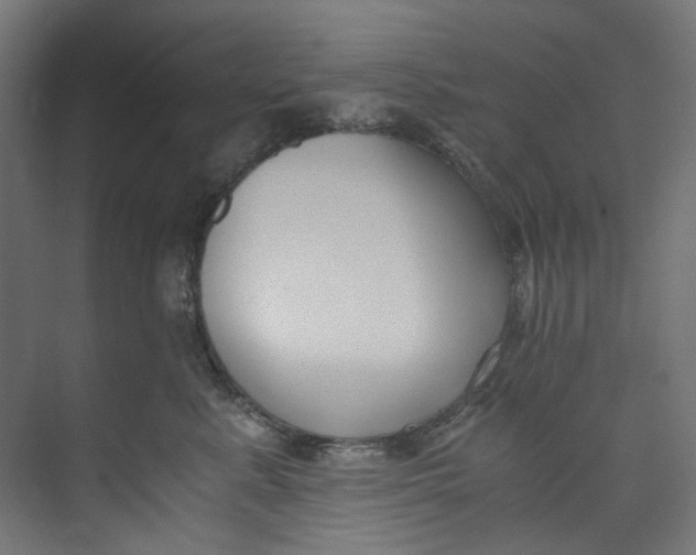 X0000073470619200608181333