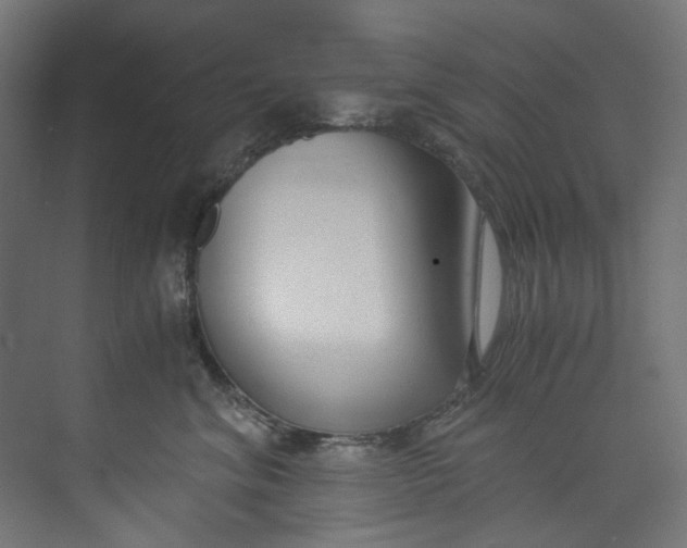 X0000073470620200608181333