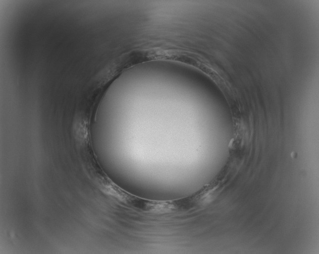 X0000073470621200608181333