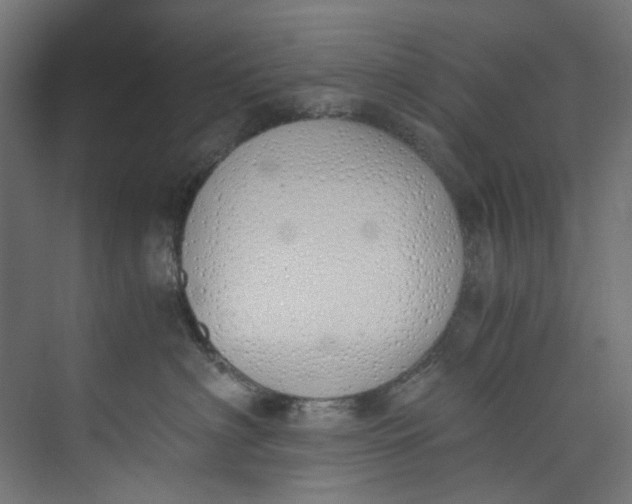 X0000073470622200608181333