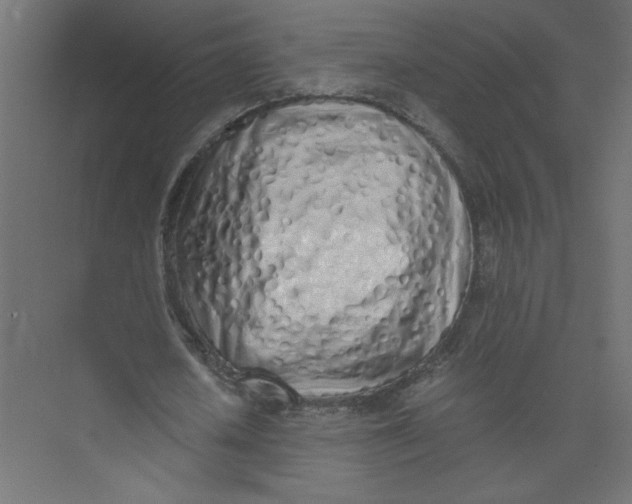 X0000073470626200608181332