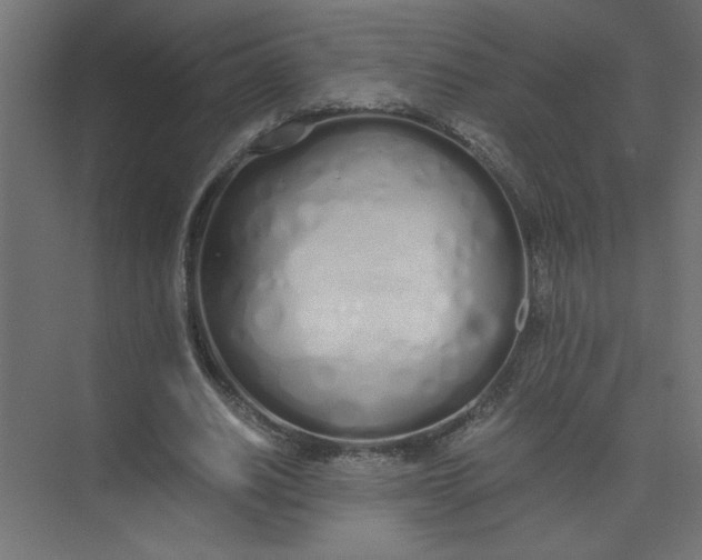 X0000073470630200608181332