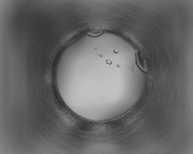 X0000073470631200608181332