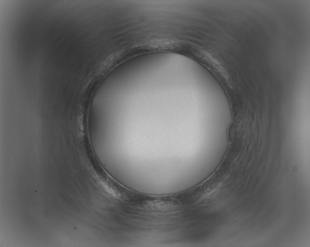 X0000073470633200608181332