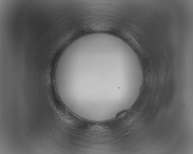X0000073470635200608181332