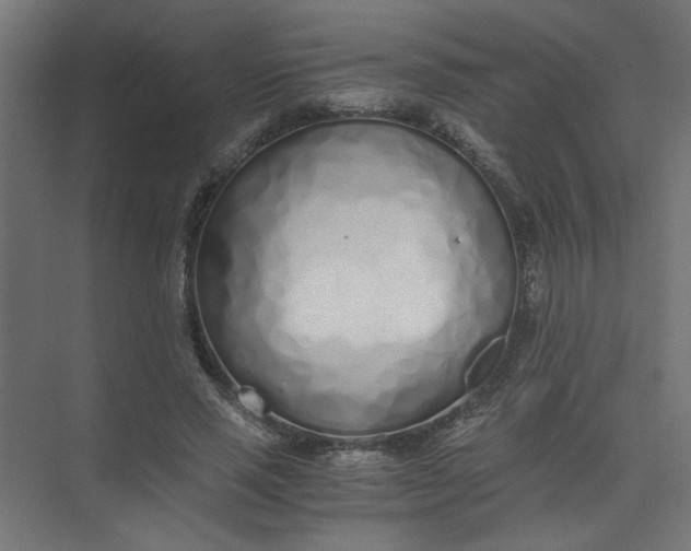 X0000073470637200608181332