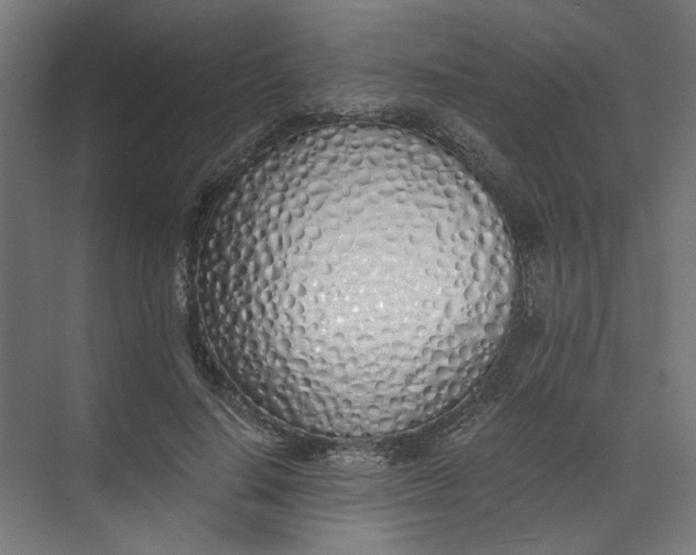 X0000073470644200608181332
